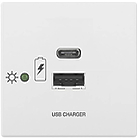 Extron Flex55 USB 311 PowerPlate Flex55 USB-C and USB-A Two outlet USB Charger finished in white (Max 45W on USB-C, 10W on USB-A)