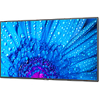 NEC MultiSync M751 75 inch Large Format Display product image