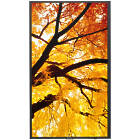 Sharp MultiSync M322 32 inch Large Format Display product image