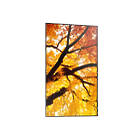 Sharp MultiSync M552 55 inch Large Format Display product image