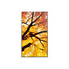 Sharp MultiSync M552 55 inch Large Format Display Front View product image