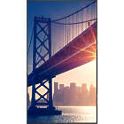 Sharp MultiSync ME552 50 inch Large Format Display product image