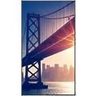 Sharp MultiSync ME752 75 inch Large Format Display product image