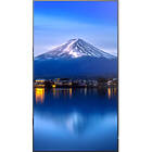 Sharp MultiSync P556 55 inch Large Format Display Front View product image