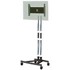 2m high monitor trolley which can be dismantled for easy transportation