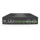WyreStorm AMP-260-DNT Advanced 2 or 4 Channel Dante Amplifier connectivity (terminals) product image