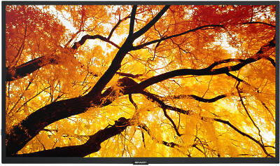 Sharp MultiSync M322