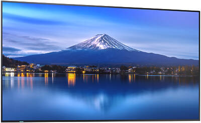 Sharp MultiSync P556